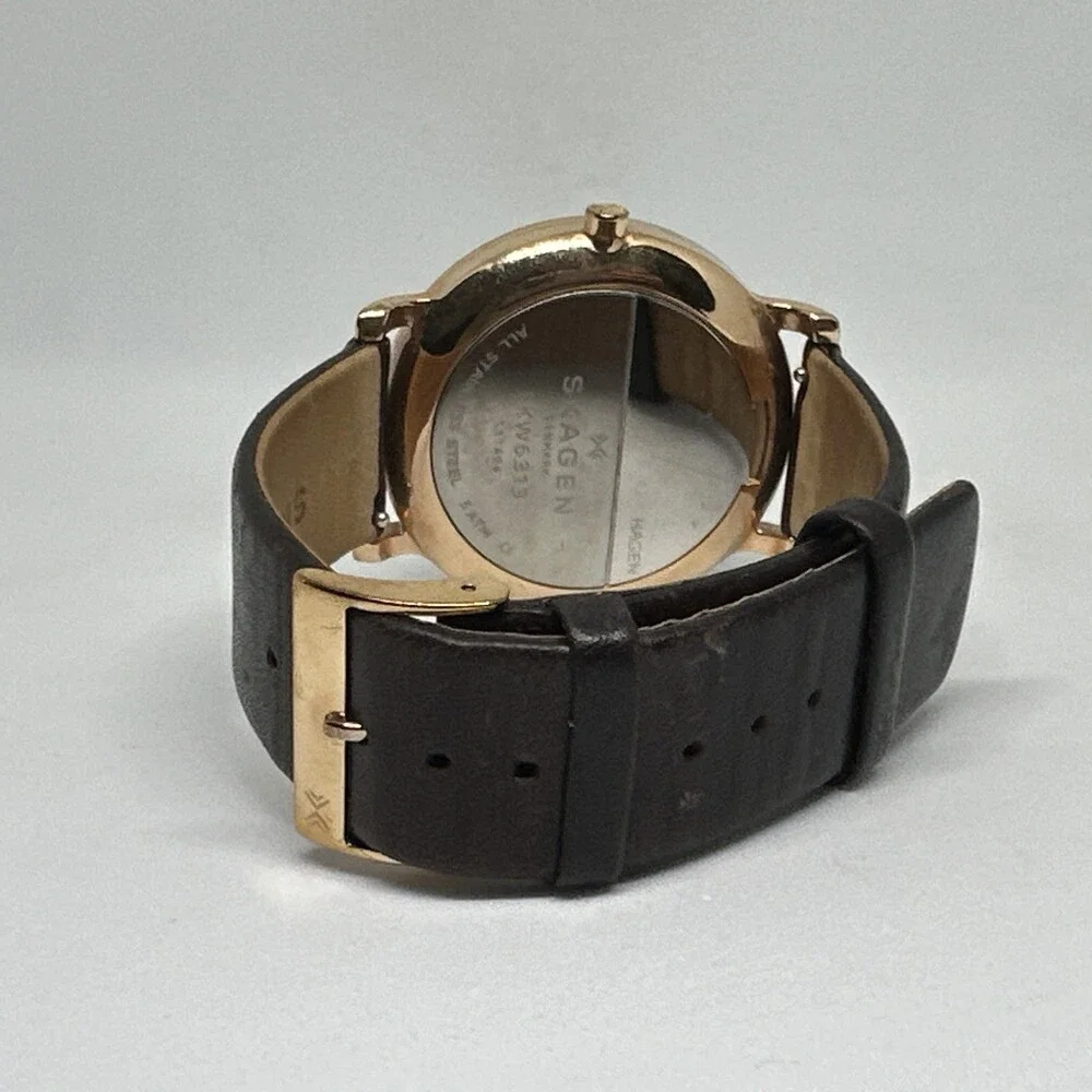 Skagen skw6313 men